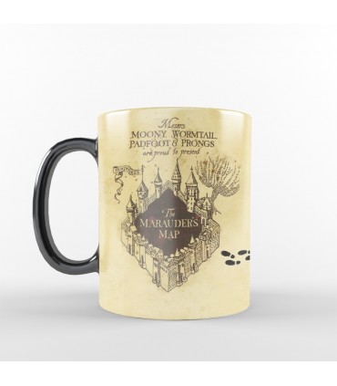 ماگ جادویی نقشه غارتگر