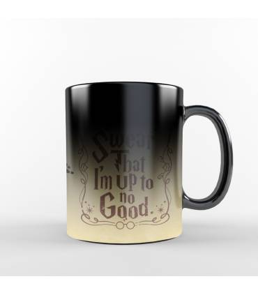 ماگ جادویی نقشه غارتگر