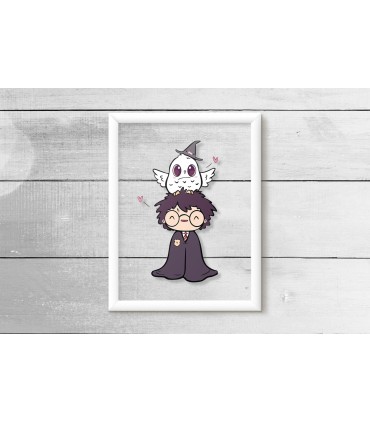 قاب شیشه ای هری پاتر