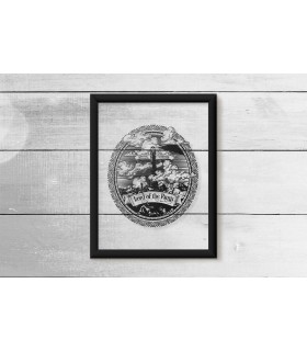 قاب شیشه ای Lord of the Rings