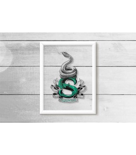 قاب شیشه ای Slytherin