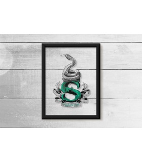 قاب شیشه ای Slytherin