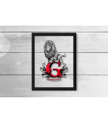 قاب شیشه ای Gryffindor