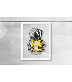 قاب شیشه ای Hufflepuff