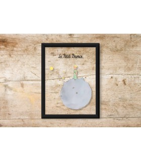 قاب شیشه ای شازده کوچولو