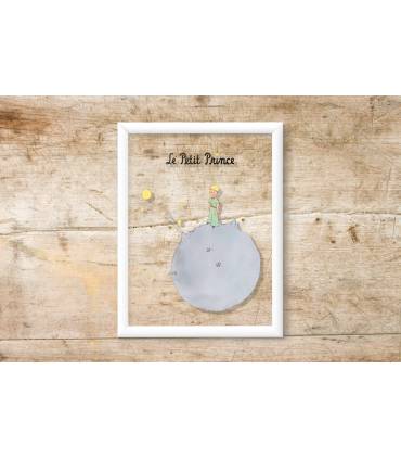 قاب شیشه ای شازده کوچولو