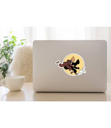 استیکر رنگی  تن تن