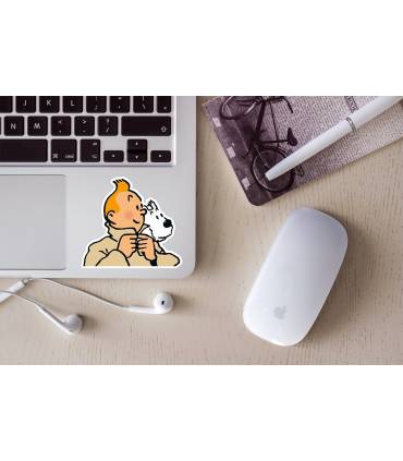 استیکر رنگی  تن تن