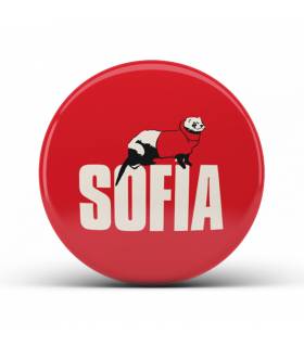 پیکسل SOFIA