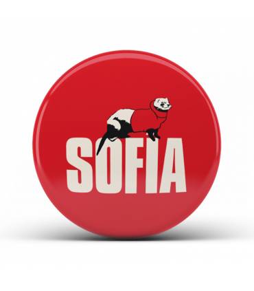 پیکسل SOFIA