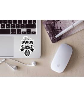 استیکر رنگی Damon