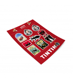 پک استیکر تن تن