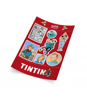 پک استیکر تن تن