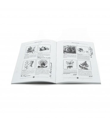 کتاب Advanced potion making book