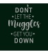 طرح Don't Let the Muggles
