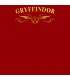 طرح Gryffindor Quidditch