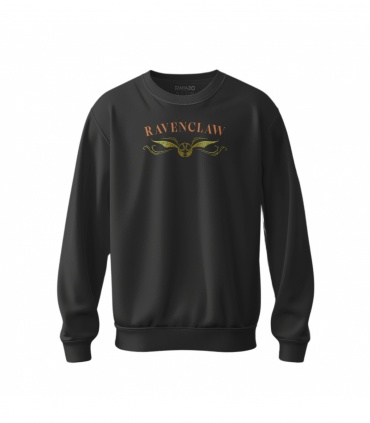 پوشیدنی با طرح Ravenclaw Quidditch