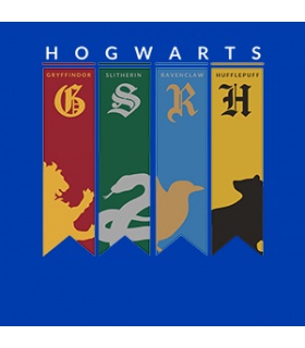 پوشیدنی با طرح Hogwarts House Flags