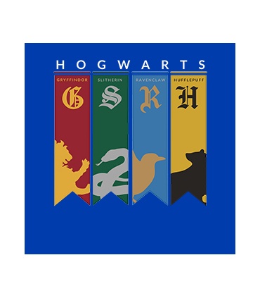 پوشیدنی با طرح Hogwarts House Flags