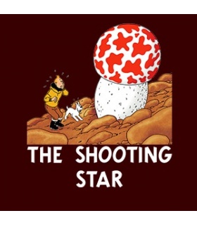 طرح The Shooting Star