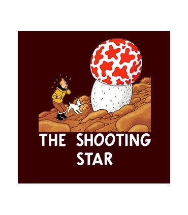 طرح The Shooting Star