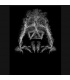 طرح Darth Vader