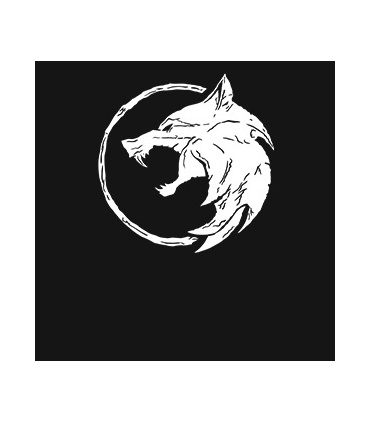 طرح The Witcher-1